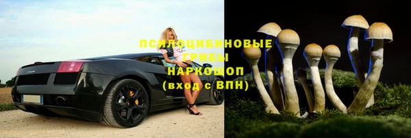 молекула духа Лихославль