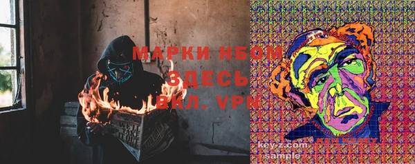 ECSTASY Липки