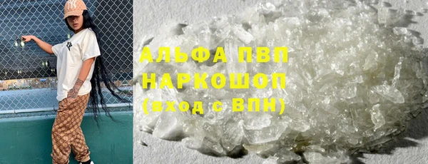 ECSTASY Липки