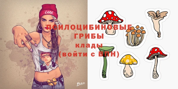 молекула духа Лихославль