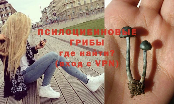 ECSTASY Липки