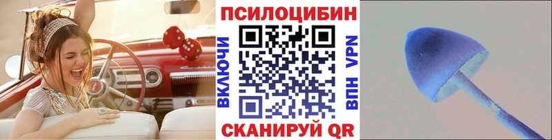 Галлюциногенные грибы Magic Shrooms  Купить закладки  Краснознаменск 